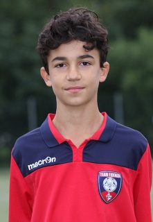 D-SCARABELLI