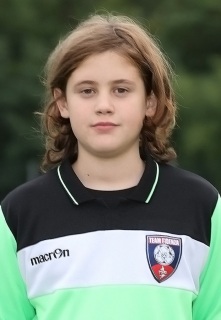 P-MALVISI