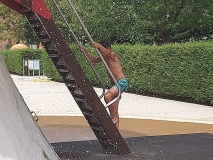 piscina-09